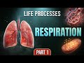 Class 10 Biology Chapter 1 Life processes:-Respiration Part 1