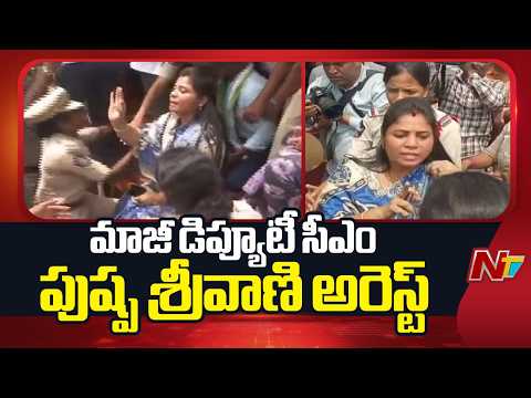 Visakha Marikavalasa School Controversy: విశాఖ మారికవలస దగ్గర పోలీసులపై పుష్ప శ్రీవాణి ఆగ్రహం | NTV