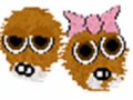 Fofru Adn Barackesha Pixiz Fofru Adn Barackesha Pixiz
