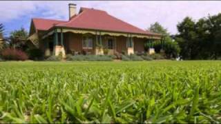 How To Feed Your Lawn