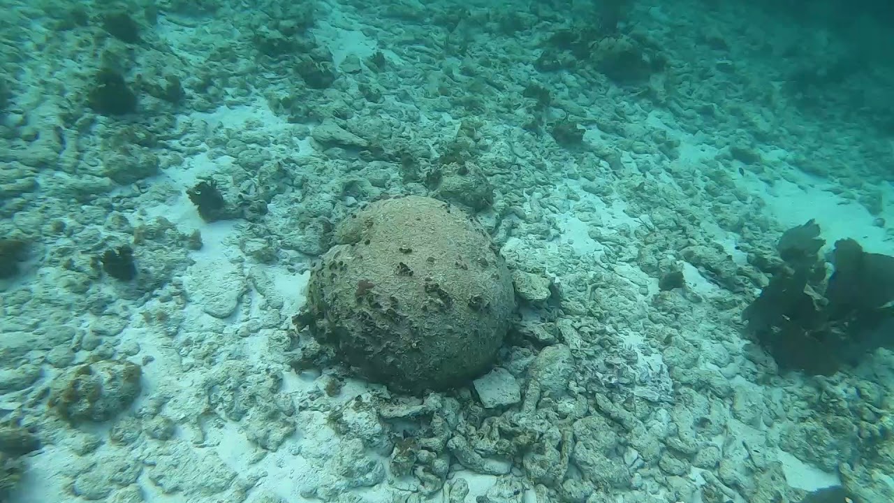 Phoebe Free Diving family snorkel in Islamorada, Florida YouTube