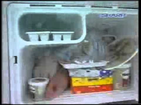  Iklan Kulkas  Sharp X tra Big Freezer 2001 YouTube
