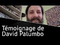 David palumbo parle de la mthode shuriken formation production musicale