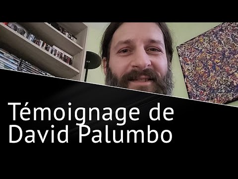 DAVID PALUMBO PARLE DE LA MÉTHODE SHURIKEN (FORMATION PRODUCTION MUSICALE)