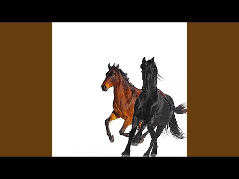 Old Town Road (Remix)