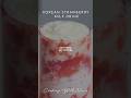 Korean Strawberry Milk Drink Tastes Even Better Homemade | Super Easy Recipe! #koreanstrawberrymilk