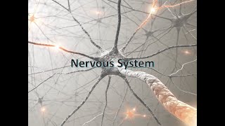 Medical Terminology Pathology of the Nervous System