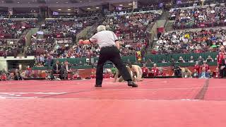 132 lbs Final D1 OH Ginter, Whitmer vs Wilson, Scioto