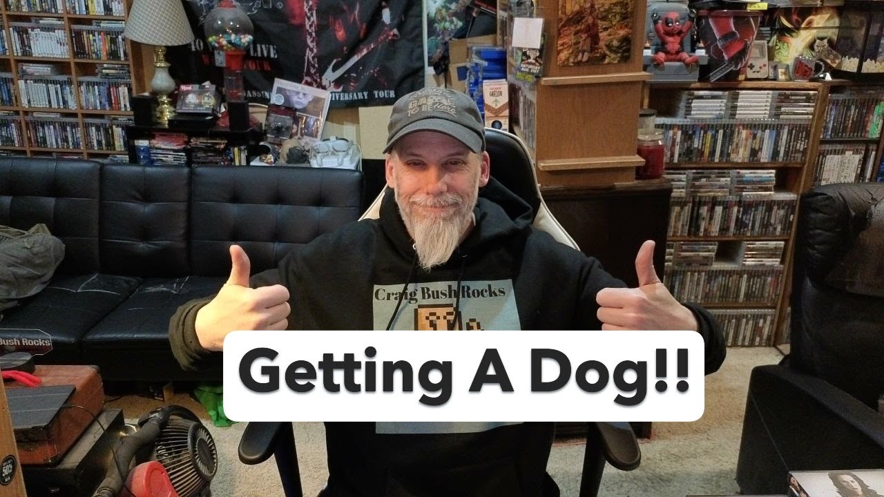 Завести собаку породы джек-рассел-терьер!!!!