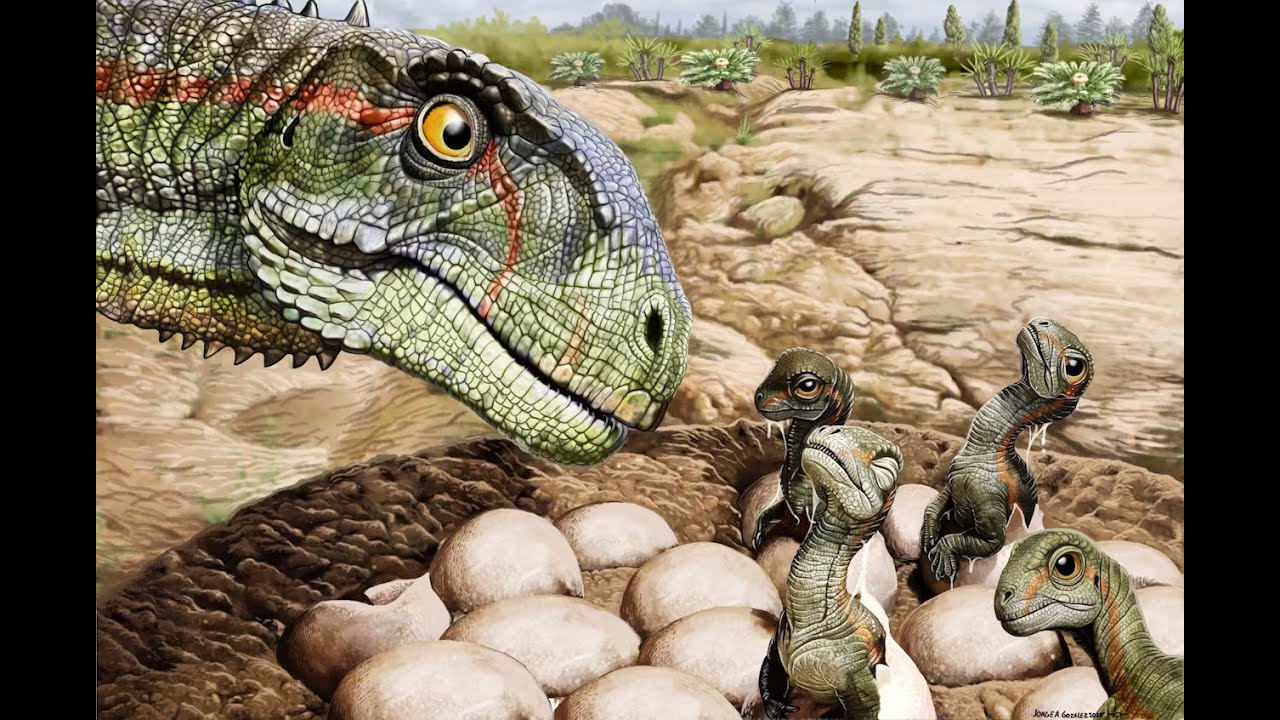 Riojasaurus and Mussaurus. Early Sauropodomorphs from South America