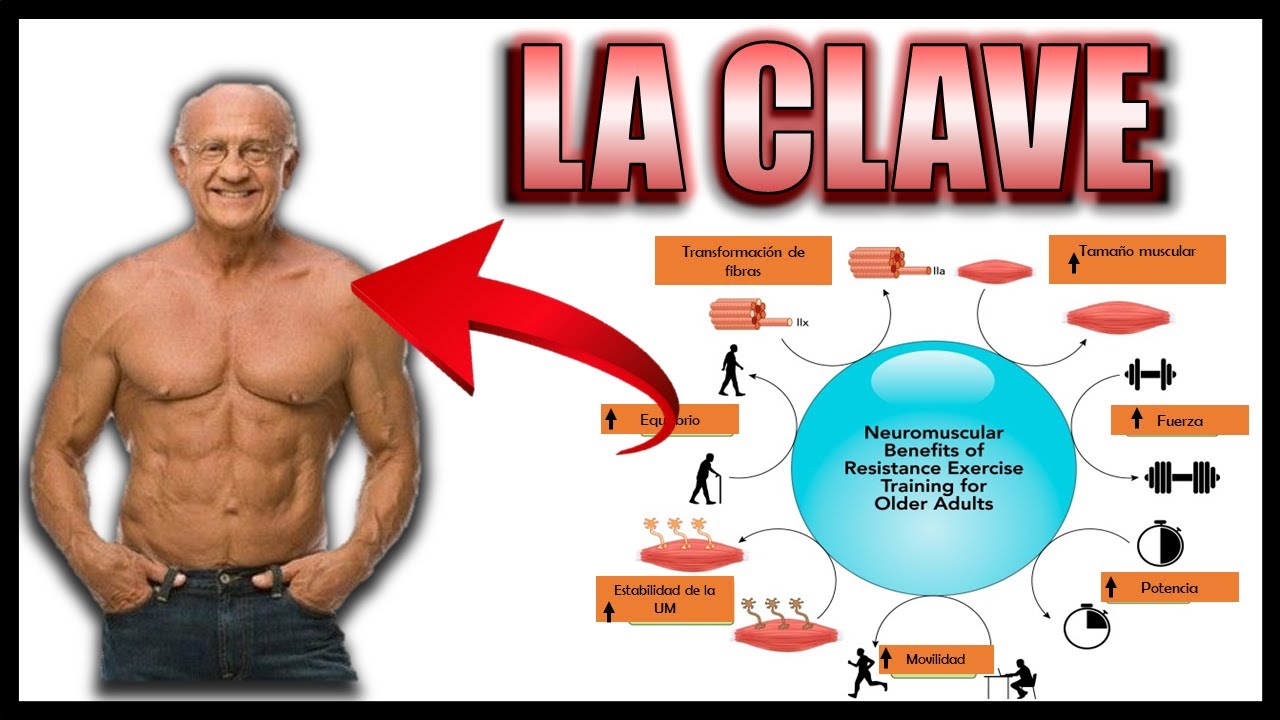 EN FORMA a partir DE LOS 60 años 👴 | EJERCICIO como ELIXIR de la JUVENTUD