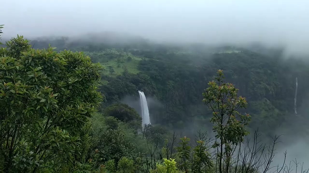 Nature's beauty Near Kaas Platue Satara.. 