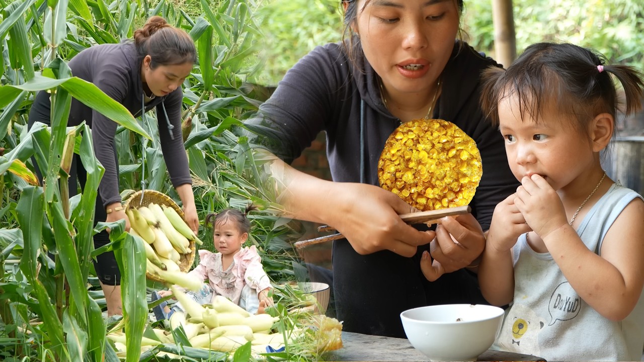 Fresh wax corn harvesting for sale – Making crispy fried corn cakes for my daughter & son