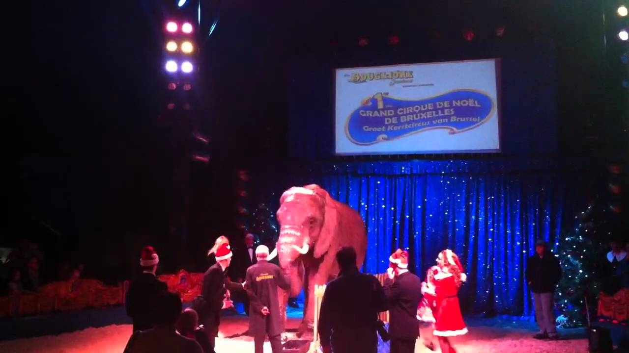 Jenny elephant last performance at Cirque Bouglione