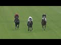 Alerta Roja Wins The Biowavego 100% Drug Free Pain Relief Handicap