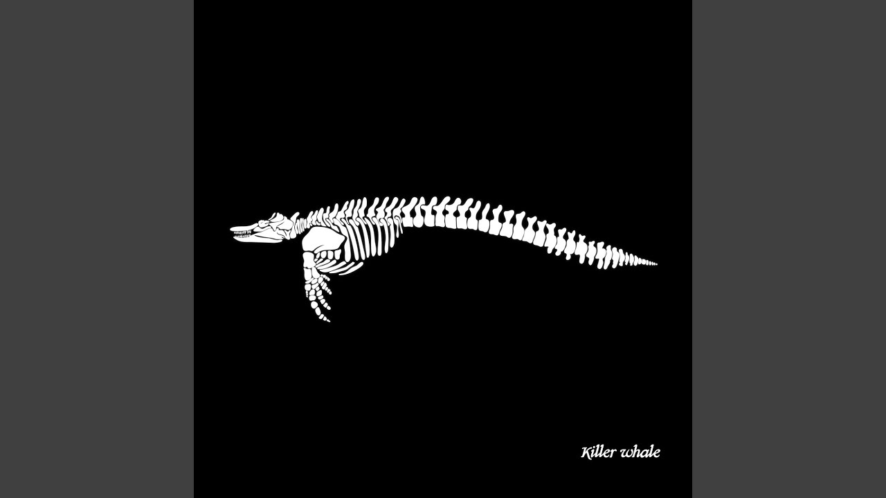 Forgive Your Enemies