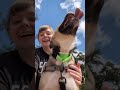 Gwen video
