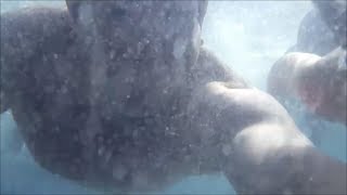 The Brusca - Fit For 40S Ko Olina