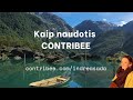 KAIP NAUDOTIS CONTRIBEE