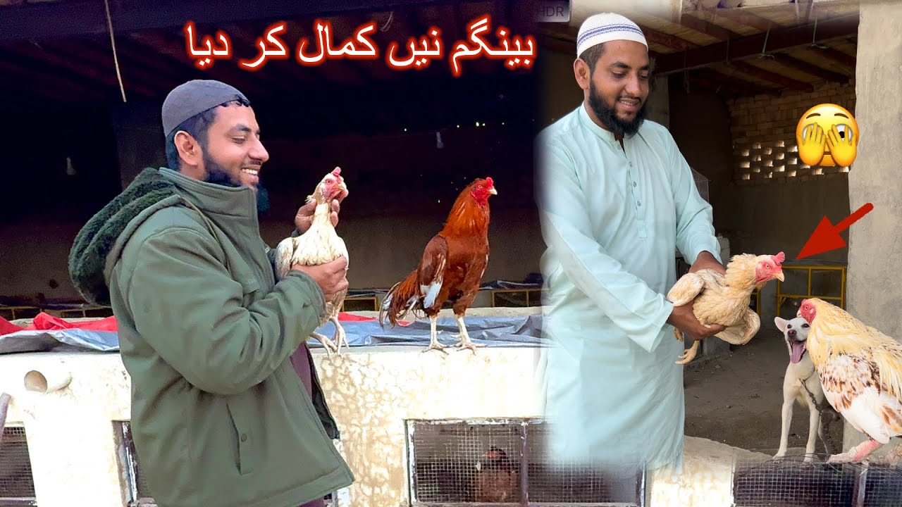 Bengum Nen Kmal Kr Dya 🫣 Ab Mza Ae Ga 😳