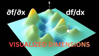 What Does a Partial Derivative REALLY Mean