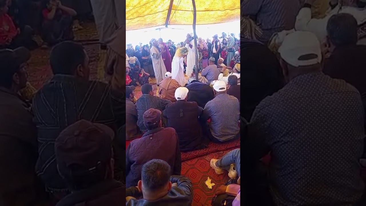 ١٤ فبراير ٢٠٢٦