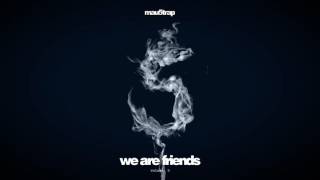 we are friends: vol 5 - minimix