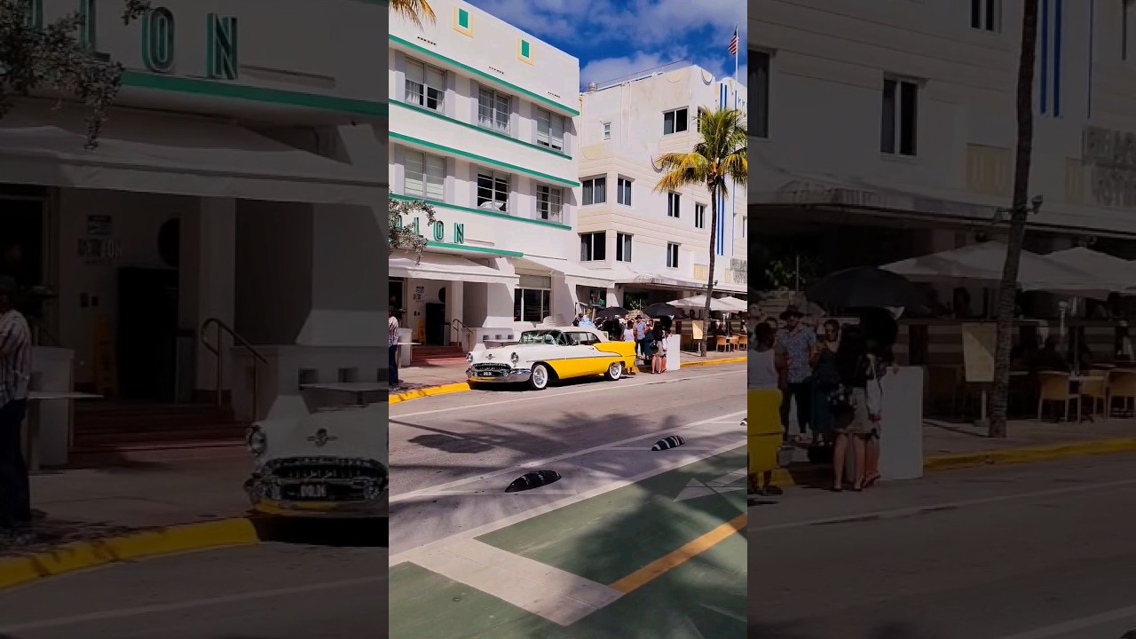 The energy of Miami! 🌴 