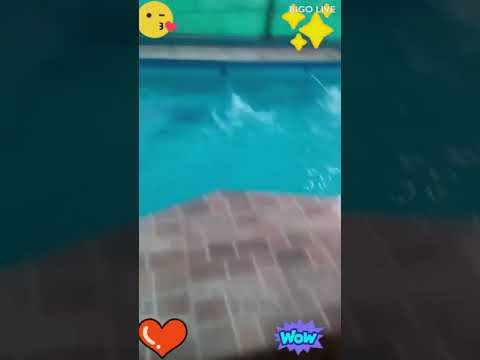 A cool video here, watch and enjoy it !  #bigolivevideo