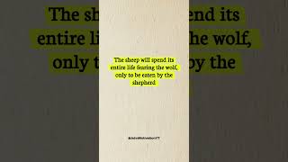 The sheep will spend it's life #quotes #shortfeed #shortsviral #quotesaboutlife #motivation #usa
