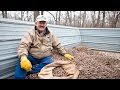 Peace and Purity | Missouri's Organic Pecans