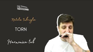 🎶 Torn - Natalie Imbruglia (Harmonica Tab - na Gaita com Tablatura)