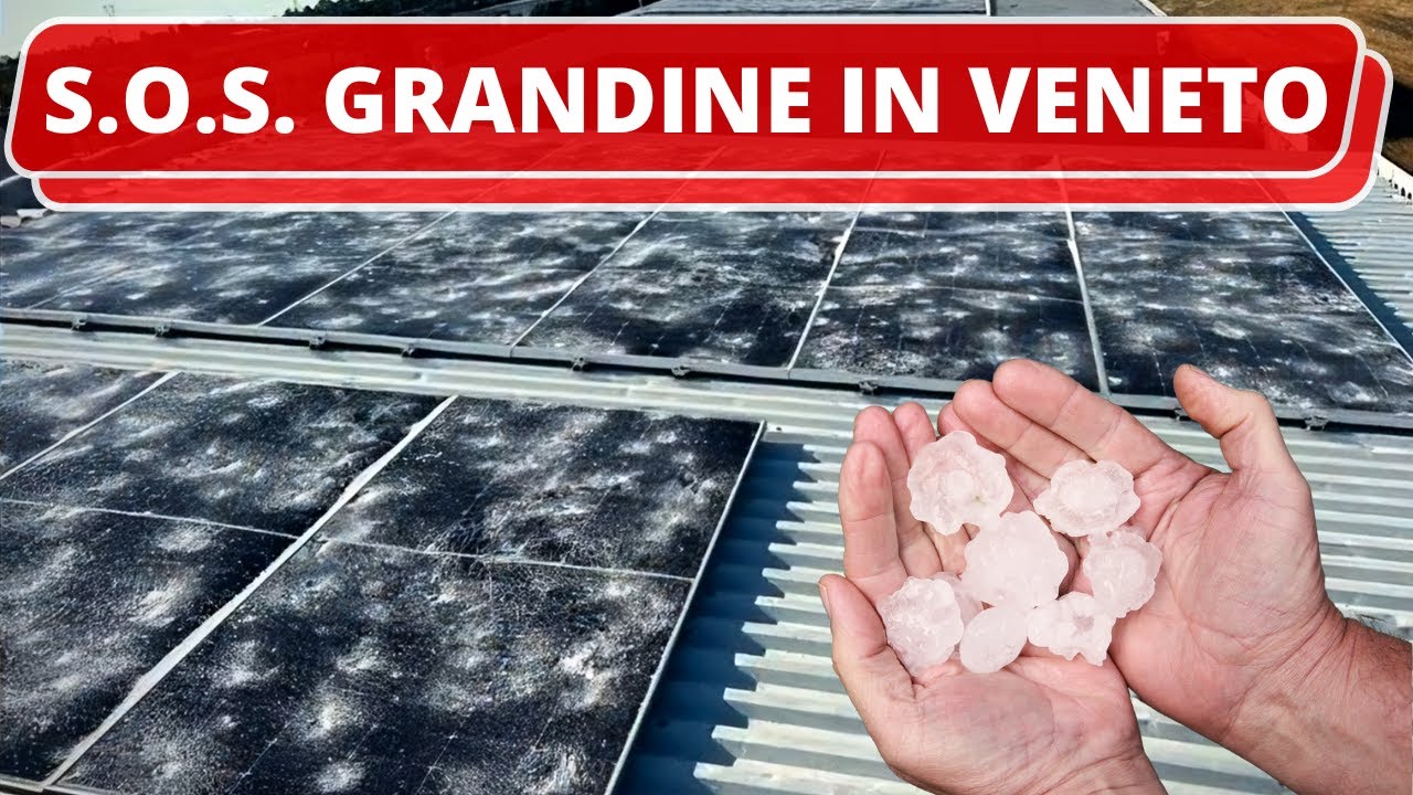 🚨 SOS GRANDINE in VENETO: Come Possiamo Aiutarti?