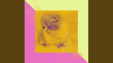 Inspiring Ambience for Lazy Cat Days