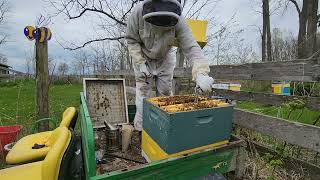 Moving A Packed Out Swarm Trap