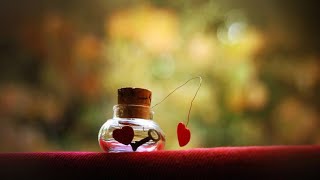 Oh Humsafar   Voice Maria Boba