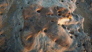 135 Million Year Old Dinosaur Footprints on Bexhill Beach screenshot 5
