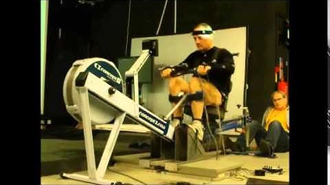 Biomechanics of Human Movement