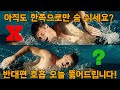 자유형 아직도 한쪽으로만 숨 쉬세요? 오늘 반대쪽 호흡 뚫어드립니다!#자유형호흡#양쪽호흡#반대편호흡
