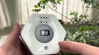 How We Use This Pet Deodorizer To Fight Litter Box Stench