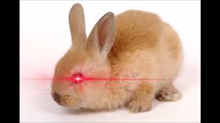 Shadow Warrior 2 Evil Bunny theme extended