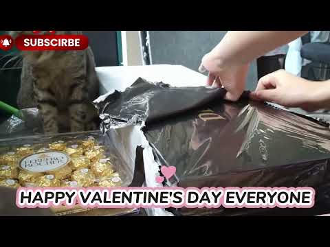 HAPPY 💝VALENTINE'$ DAY|@mionestv2030 #thankyou #somuch #priceless