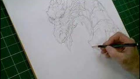 Fantasy Artist Ed Beard Jr. "line technique" Part 1 /516kps