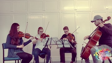 Shape of You String Quartet Cover