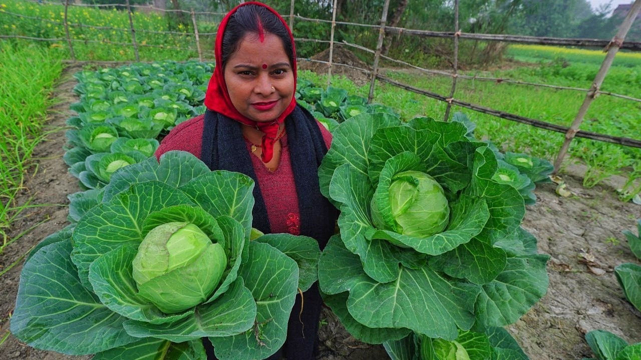 band gobi matar aloo sabji बंद गोभी आलू मटर की रसेदार सब्जी-Patta Gobhi Matar ki Sabzi-Veg Thali