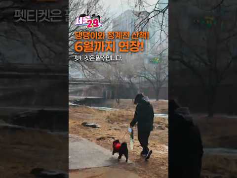 (<strong>시범사업</strong> 6월까지 연장)  [29초⏰서울] #서울시 #청계천 #반려견