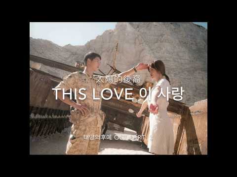 This Love 這份愛 (이 사랑) - DAVICHI (다비치) 【Covered by musik_love&share】【太陽的後裔  태양의후예】【女聲】【動態 lyrics】
