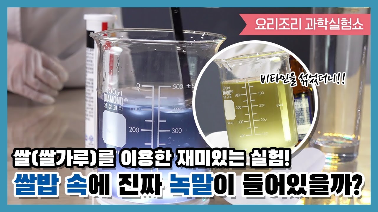 국립광주과학관 '요리조리 과학실험쇼' - 쌀밥 속에는 진짜 녹말이 들어있을까?