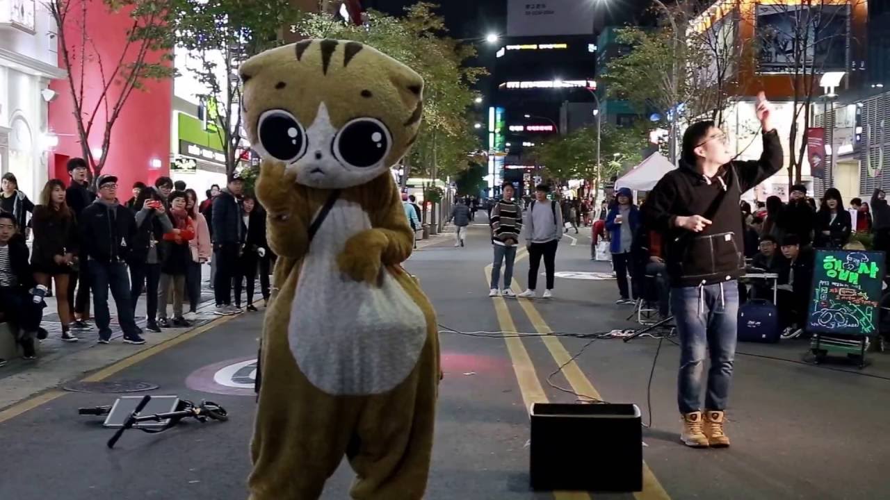 JHKTV] 신촌명물고양이댄스sin chon  special cat  dance & rapper k p ohkey dokey  (hip hap)