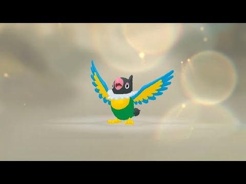 Pokédex #441: Chatot